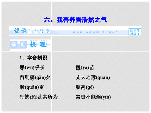 高中语文 2.6 我善养吾浩然之气课件 新人教版选修《先秦诸子选读》