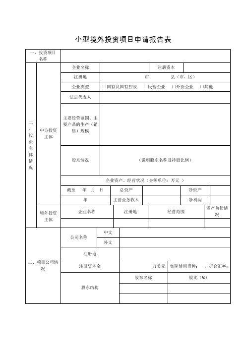 小型境外投资项目申请报告表(空表)