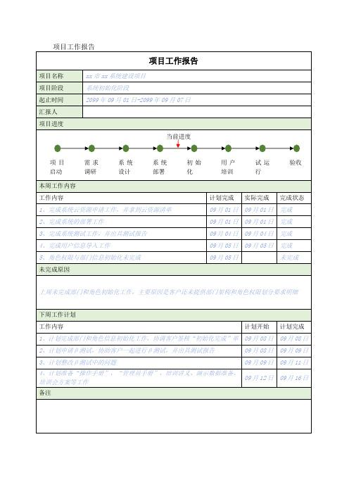 项目周报模板