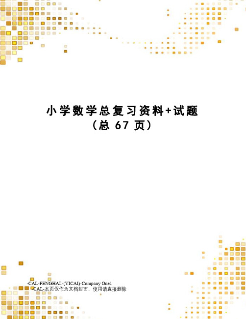 小学数学总复习资料+试题