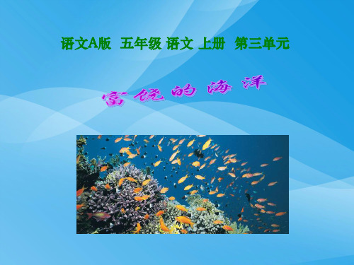富饶的海洋语文课件PPT