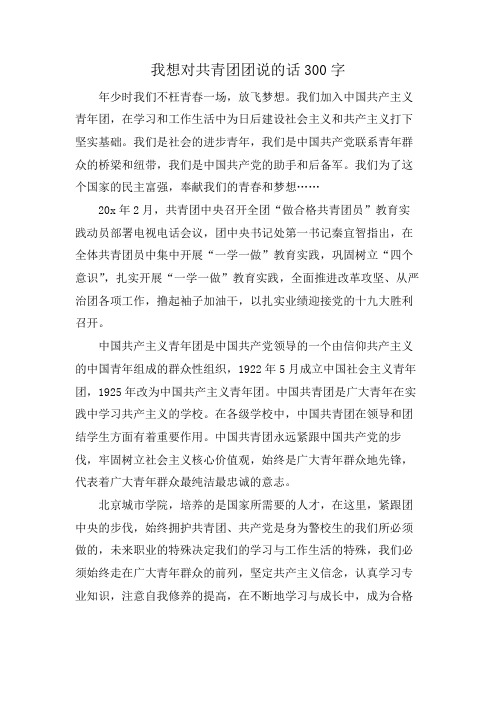 我想对共青团团说的话300字