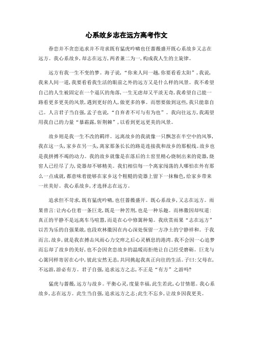 心系故乡志在远方高考作文