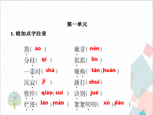 (人教版)中考语文总复习七年级上册字音字形ppt-ppt下载