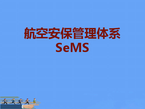 航空安保管理体系SeMS2021优选PPT