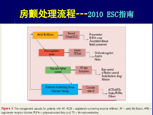 急诊科快速心律失常药物治疗策略3