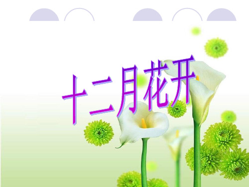 《十二月花开》课件1