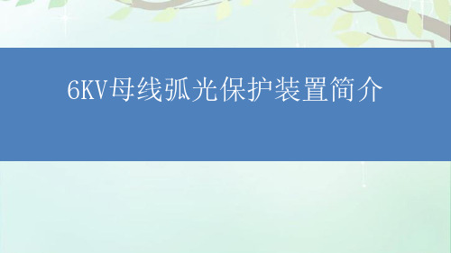 弧光保护装置原理讲课