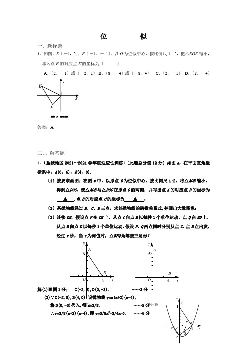 2022年精品《位似》专项练习附答案