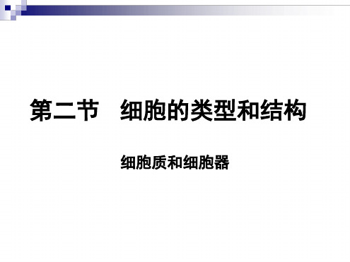 32细胞的类型和结构细胞质和细胞器课件苏教版必修1