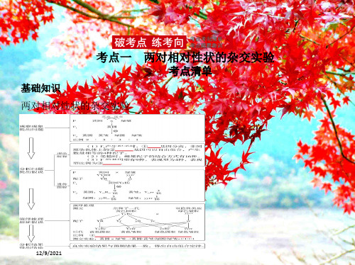 高考生物一轮复习专题12基因的自由组合定律课件高三全册生物课件