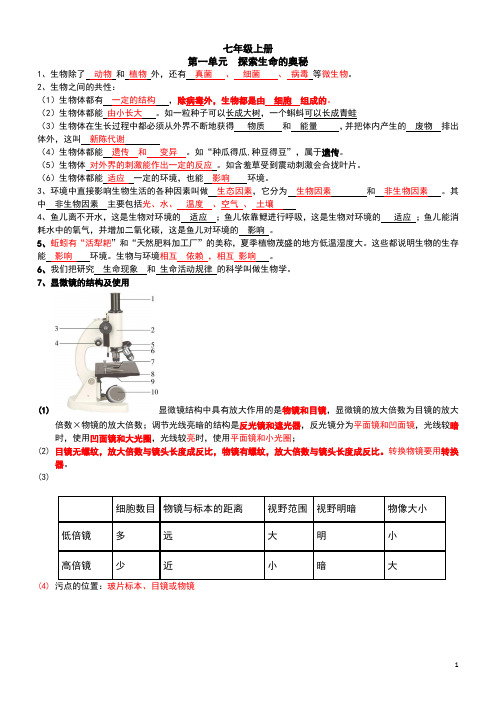 2023-2024学年苏教版生物七年级上册期末知识点总结