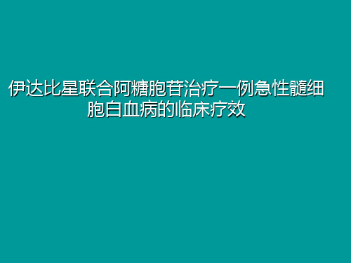 伊达比星联合阿糖胞苷治疗一例急性髓细胞白血病的临床疗效