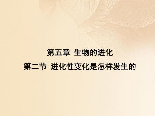 2019高中生物第五章生物的进化5.2进化性变化是怎样发生的课件浙科版必修2