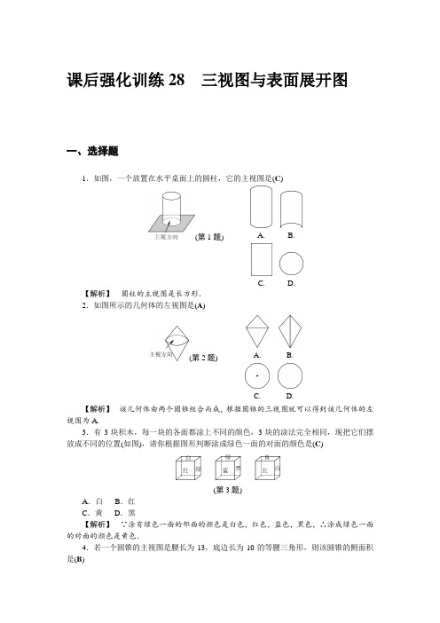 同步配套练习28 三视图与表面展开图