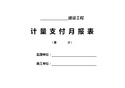 计量支付月 报表