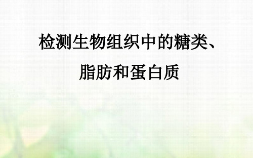 2018年秋季学期高中生物人教版必修一课件 Flash动态演示实验1检测生物组织中的糖类、脂肪和蛋白质