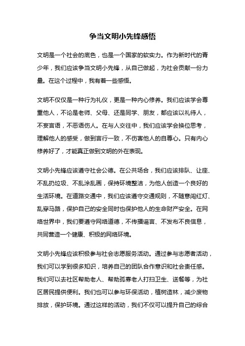 争当文明小先锋感悟