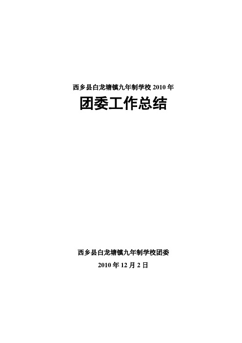 2010年团委工作总结