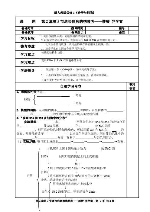 新人教版必修1《分子与细胞》第2章第5节遗传信息的携带者——核酸_导学案