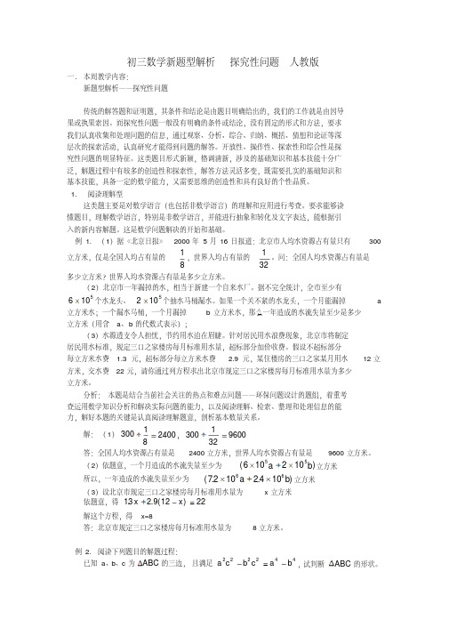 初三数学新题型解析探究性问题人教版