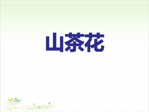 山茶花-PPT【教学课件】