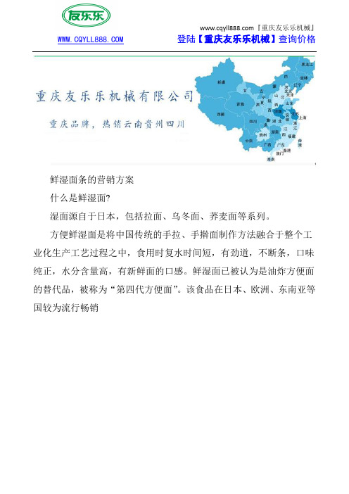 鲜湿面条的营销方案