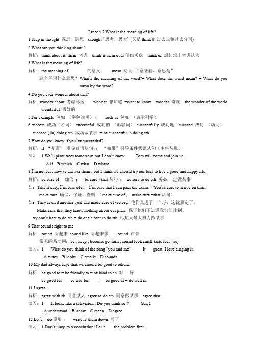 冀教版英语九年级全一册 Unit 2：Lesson 7 What is the Meaning of