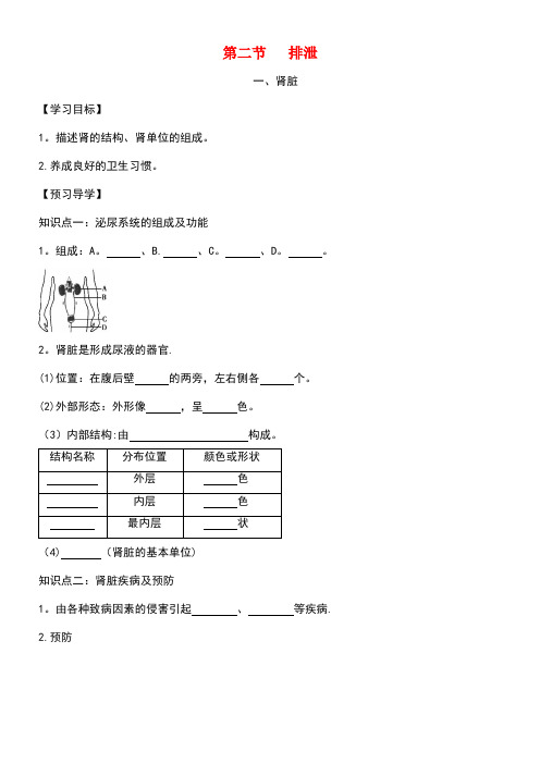 七年级生物下册第三章第二节排泄第一课时导学案冀教版(new)