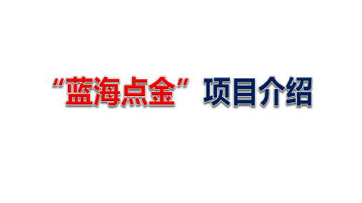 银保蓝海点金产说会项目介绍会前会中会后