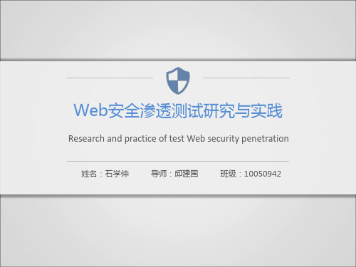 Web安全渗透测试研究与实践