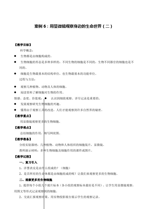 六年级下册科学教案-1.7 用显微镜观察身边的生命世界(二)|教科版