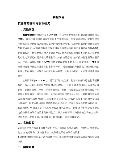 体内小鼠实验方案