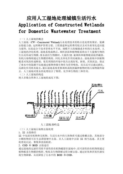 人工湿地处理废水