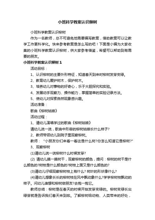 小班科学教案认识柳树