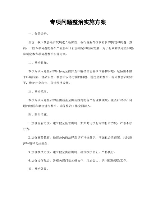 专项问题整治实施方案