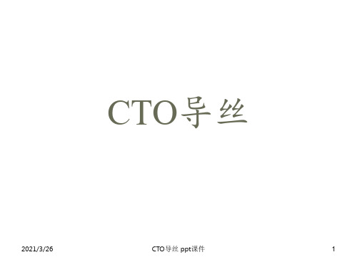 CTO导丝 ppt课件