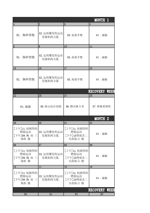 p90x_90天健身计划_中文课程表