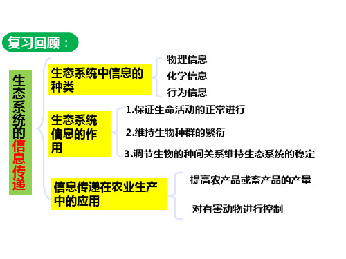 生态系统的稳定性-经典教学课件