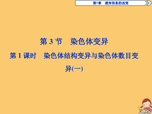 高中生物第5章遗传信息的改变第3节染色体变异第1课时染色体结构变异与染色体数目变异一课件北师大版必修2