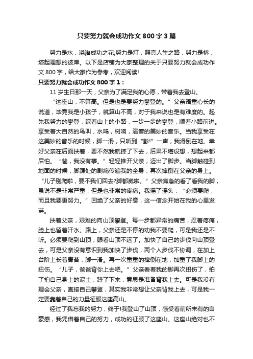 只要努力就会成功作文800字3篇