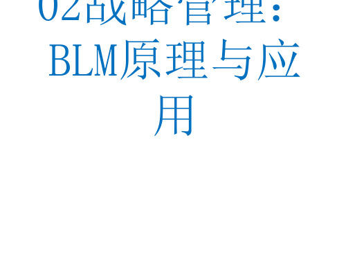 BLM模型方法论【优质PPT】