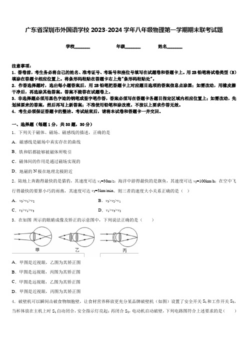 广东省深圳市外国语学校2023-2024学年八年级物理第一学期期末联考试题含答案