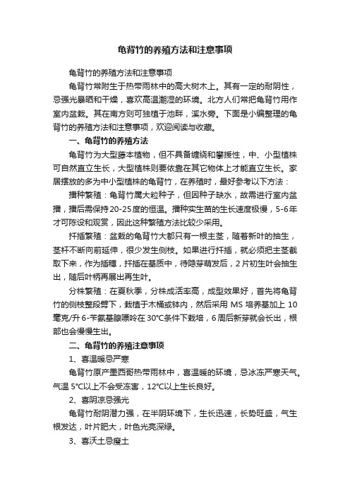 龟背竹的养殖方法和注意事项