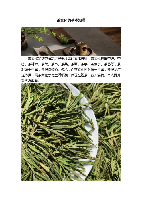 茶文化的基本知识