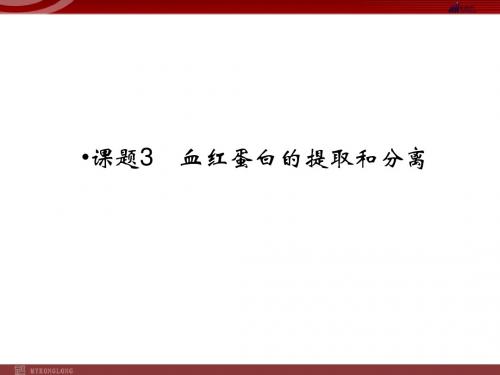 选修一：5-3血红蛋白的提取和分离