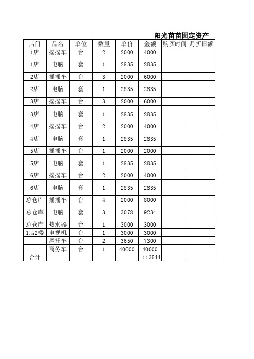 固定资产明细表