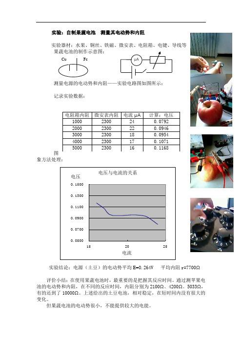 高中物理课程改革课件-实验 水果电池