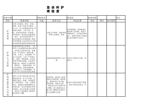 医院等级评审急诊检查工作表