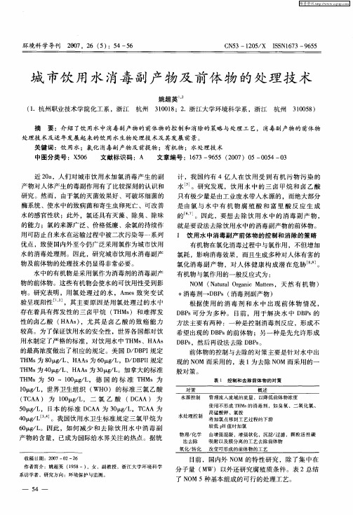 城市饮用水消毒副产物及前体物的处理技术